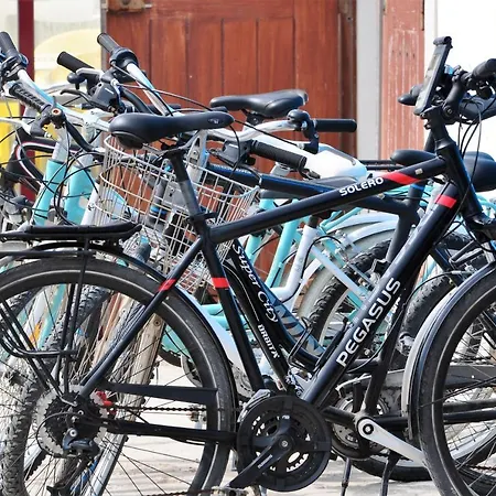 Go4surf Lofts Apartmán