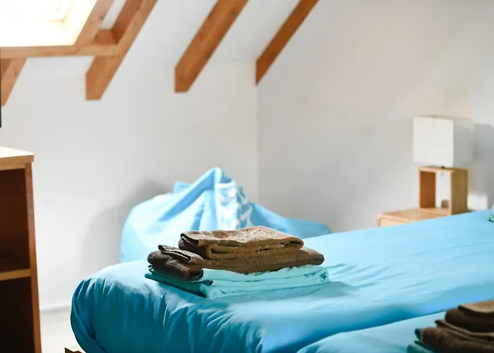 Go4surf Lofts * פניש